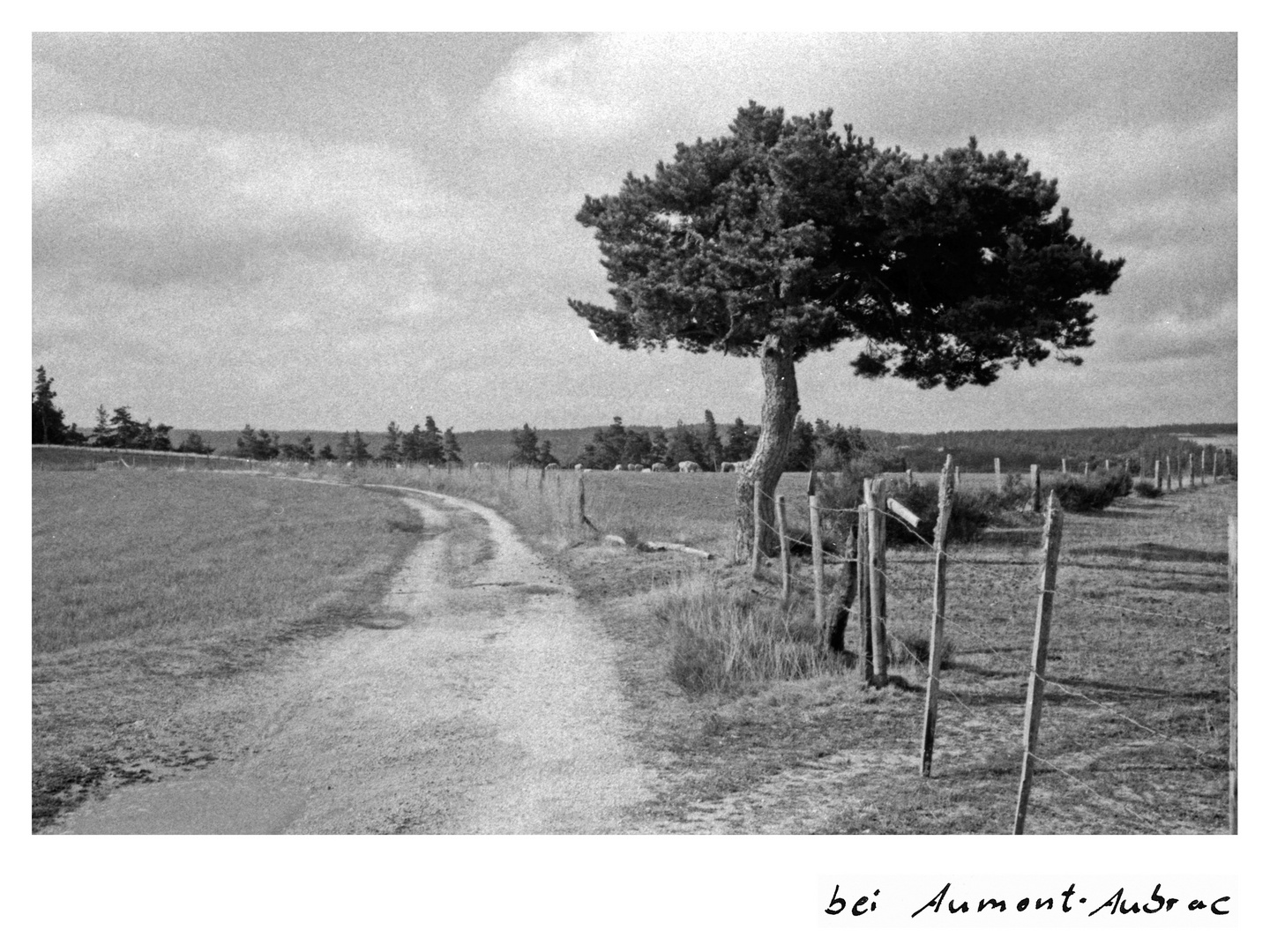 Aumont-Aubrac