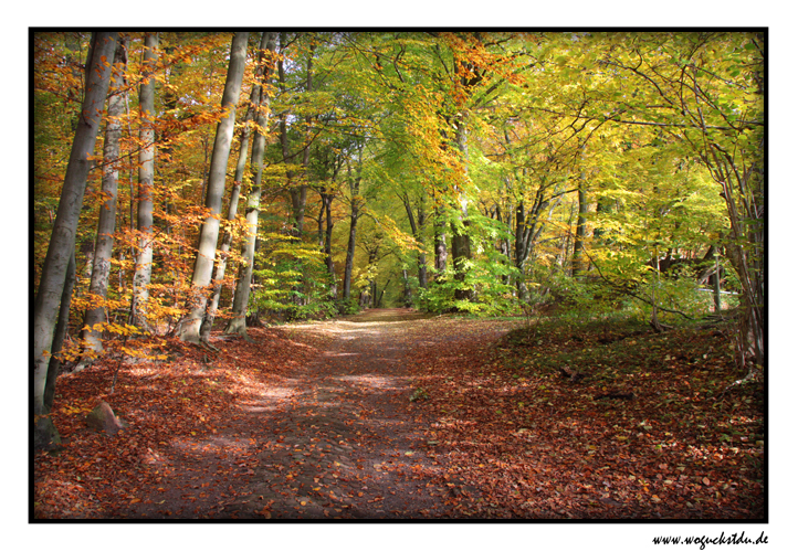 Aumühle im Herbst III