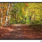 Aumühle im Herbst III