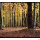 Aumühle im Herbst IV