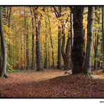 Aumühle im Herbst IV