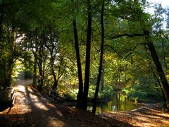 Aumühle, Sachsenwald bei Hamburg