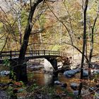 Auprés de la riviere Automne 2010