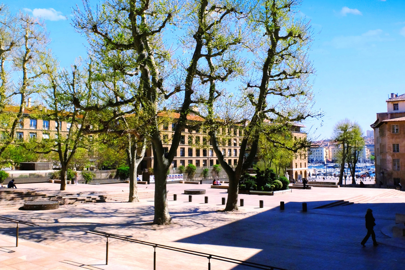 Auprès de mes arbres...