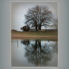 Auprès de mon arbre