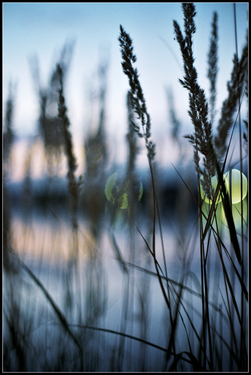 Aura of autumn creeps in by summerrain