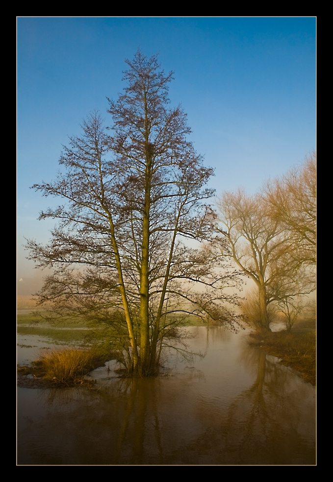 Aurach im Morgendunst #1