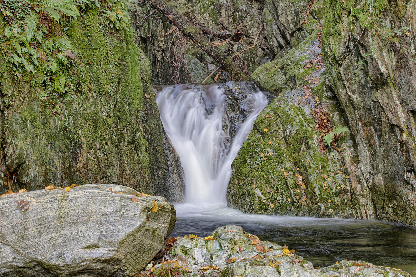 aurigeno cascata