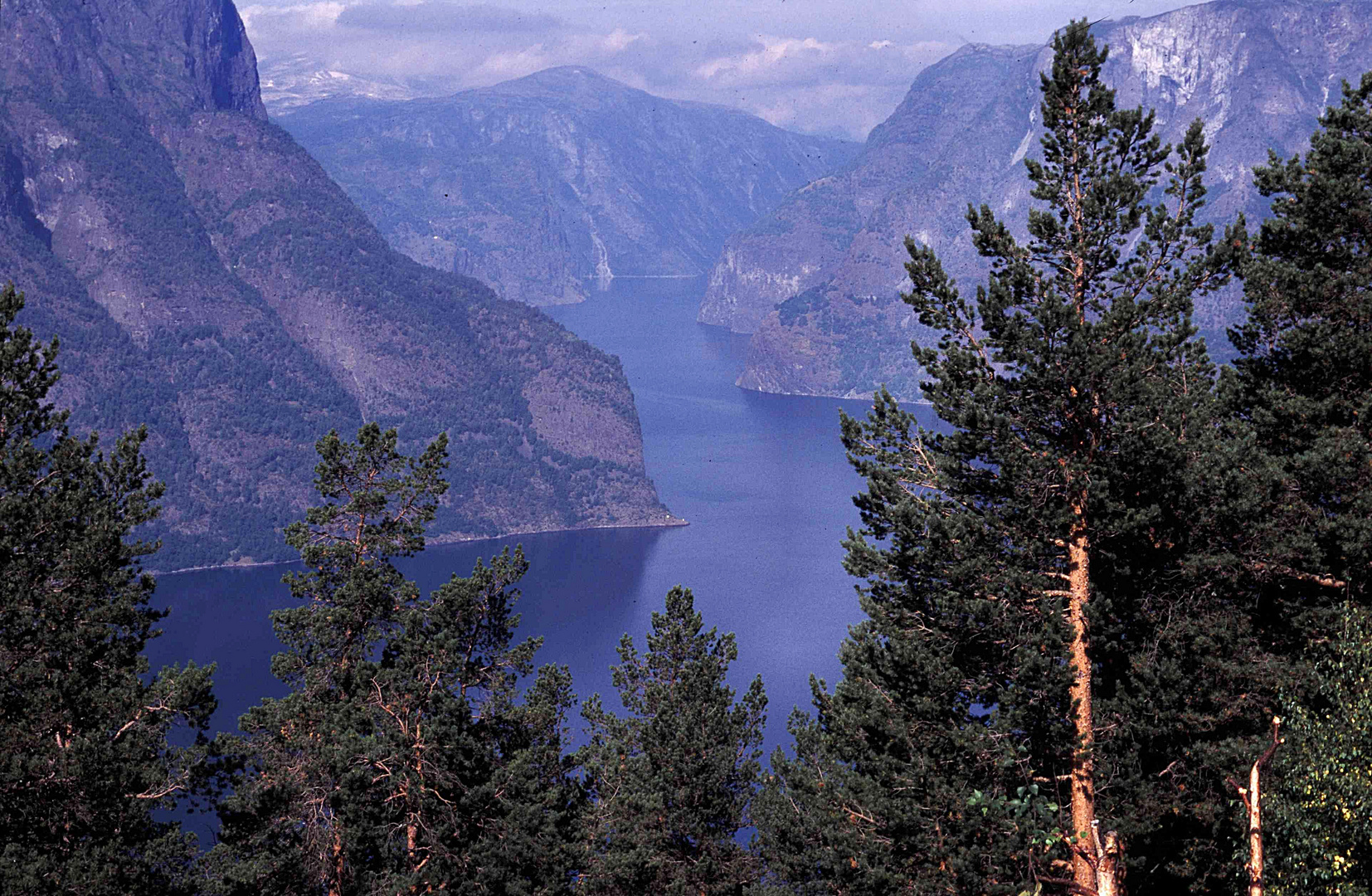 Aurlandsfjord