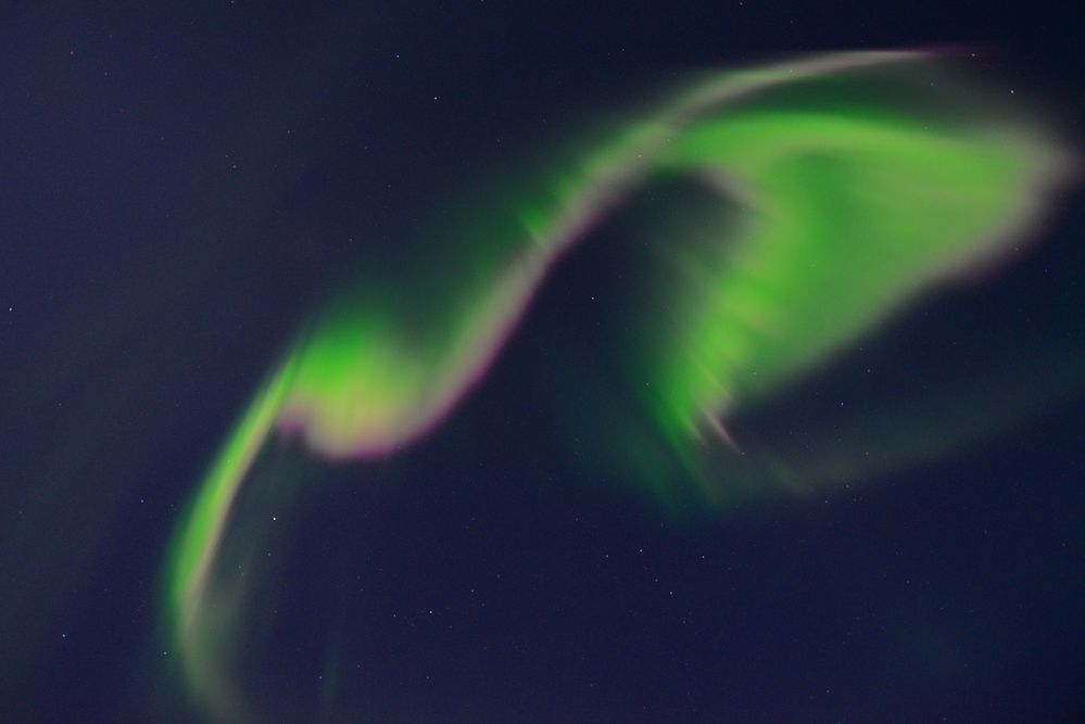 Aurora 2015_1