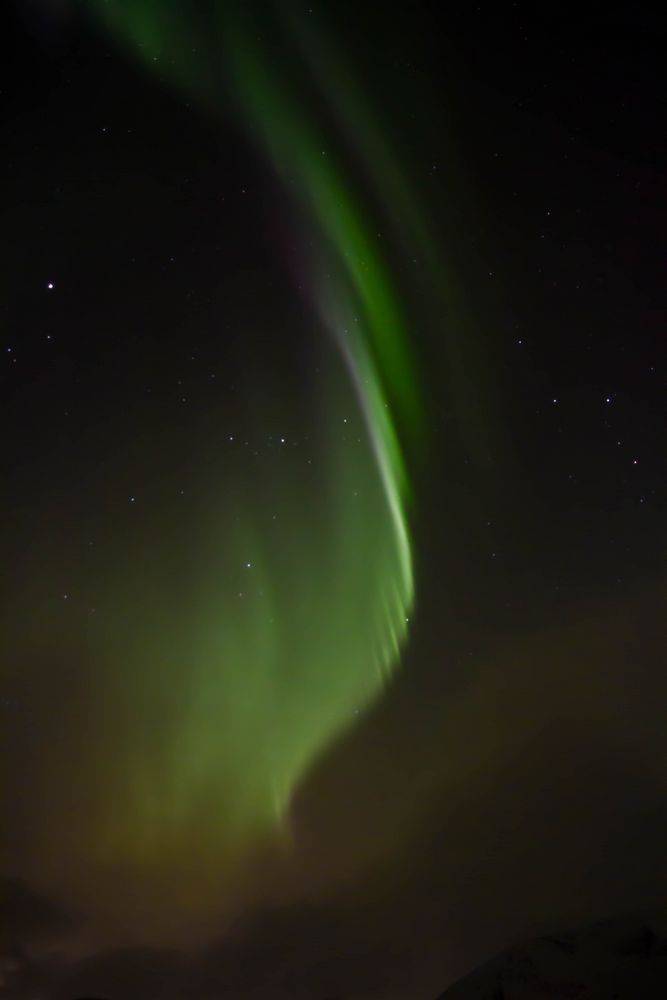 Aurora