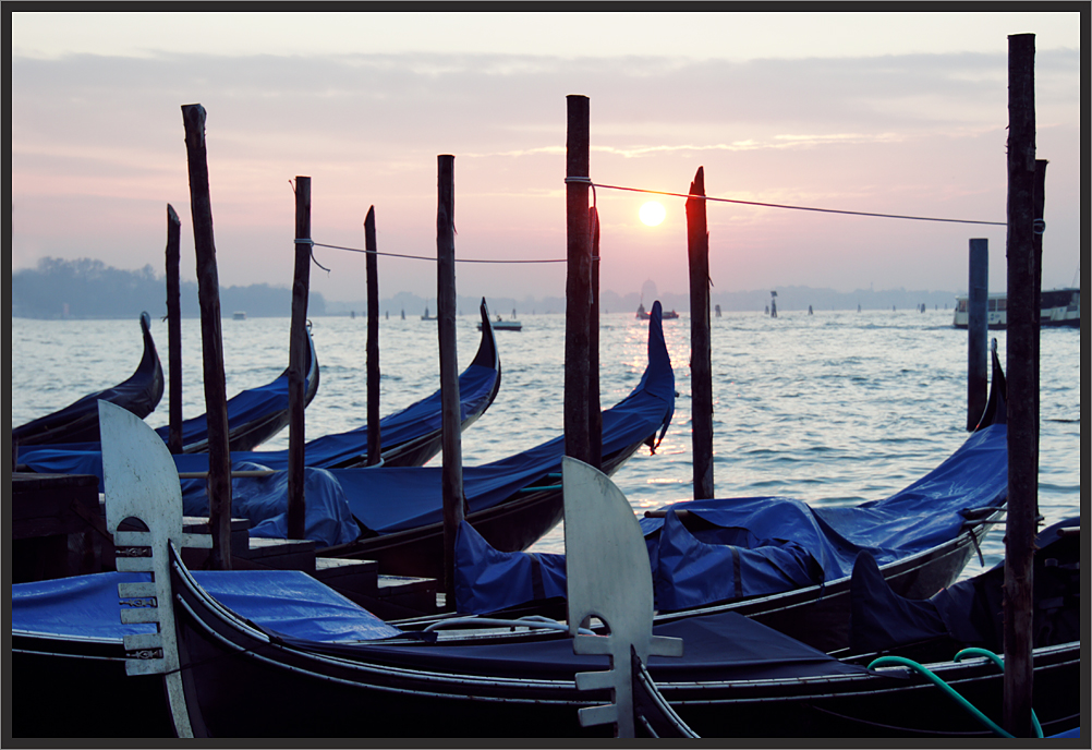 Aurora à Venezia