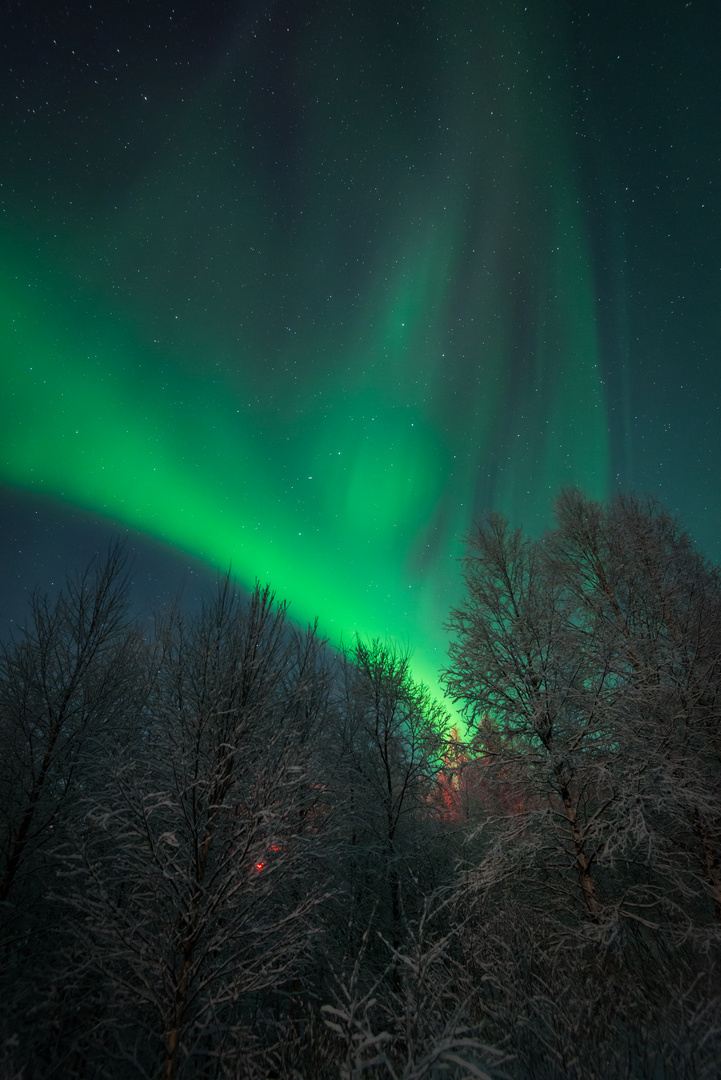 Aurora