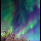 Aurora bei Abisko