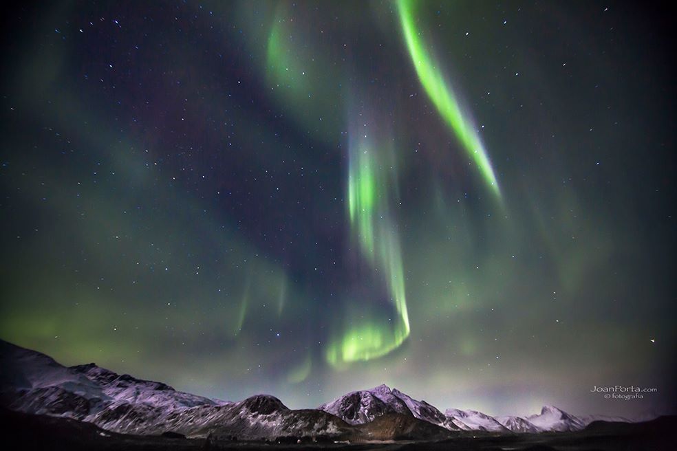 Aurora Boreal en Lofoten