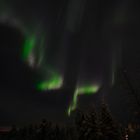 Aurora borealis 1