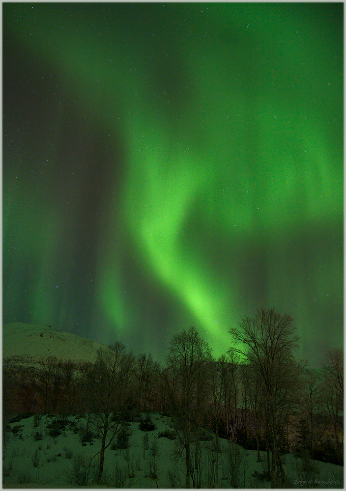 Aurora borealis (10)