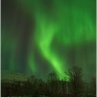 Aurora borealis (10)