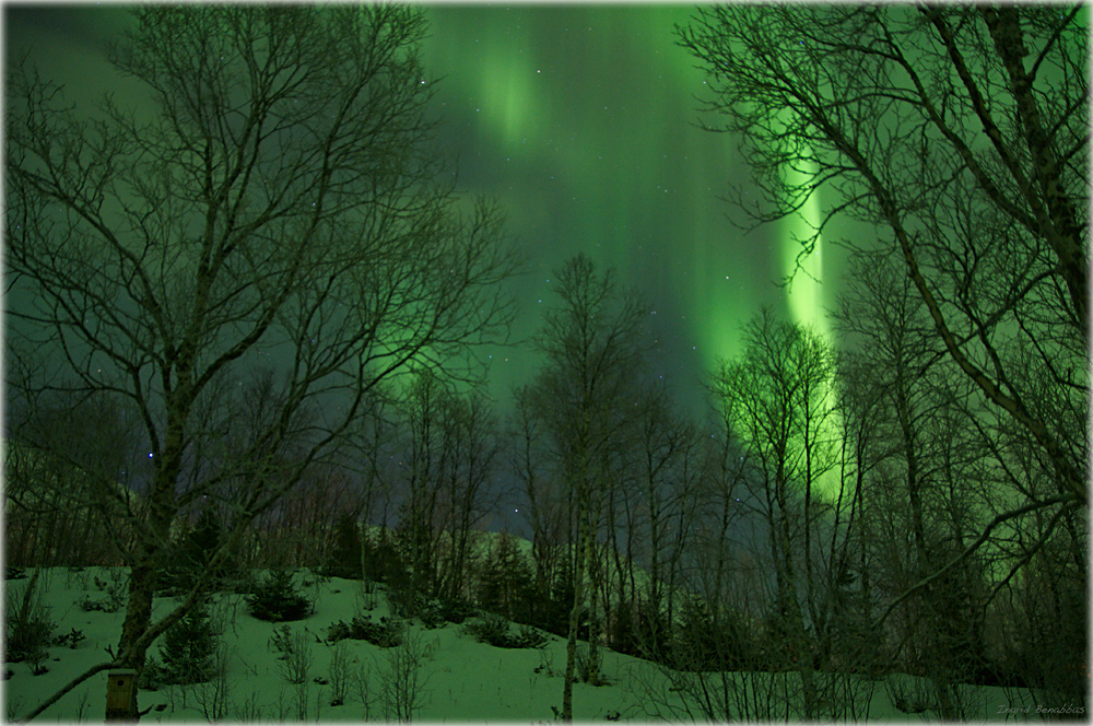 Aurora borealis (4)