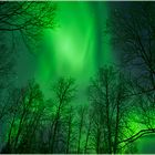Aurora borealis (5)