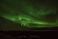 Aurora Borealis