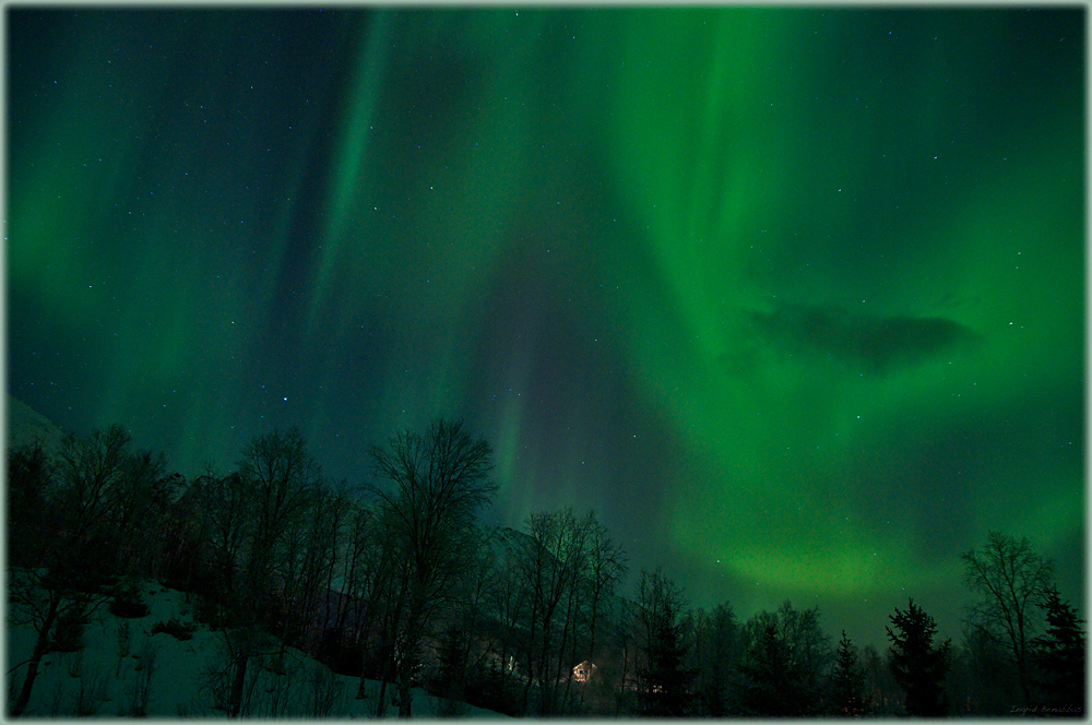 Aurora borealis (7)