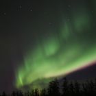 Aurora Borealis