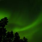 Aurora Borealis