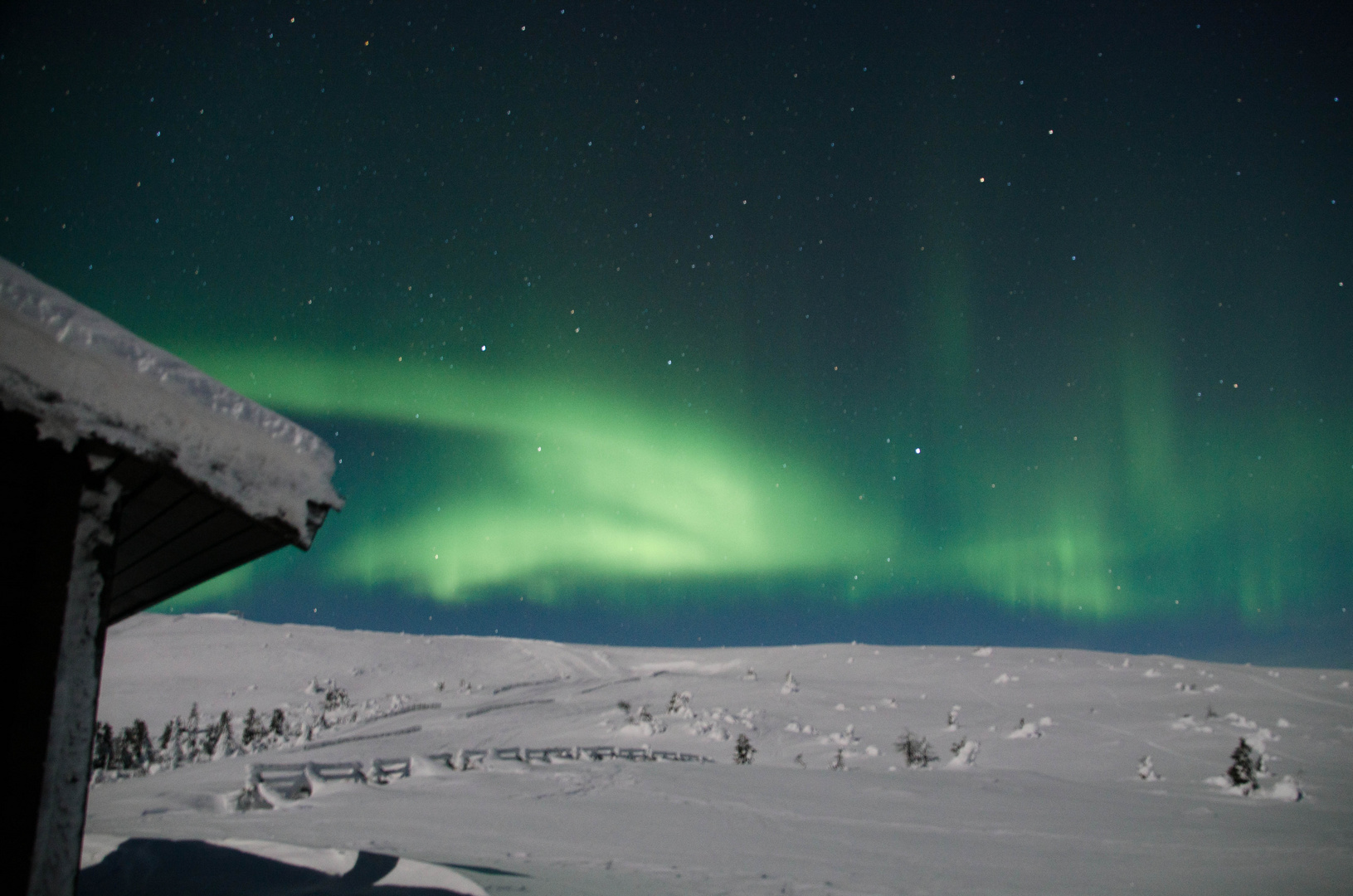 Aurora Borealis - Arjeplog