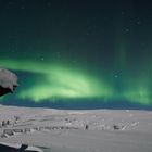 Aurora Borealis - Arjeplog