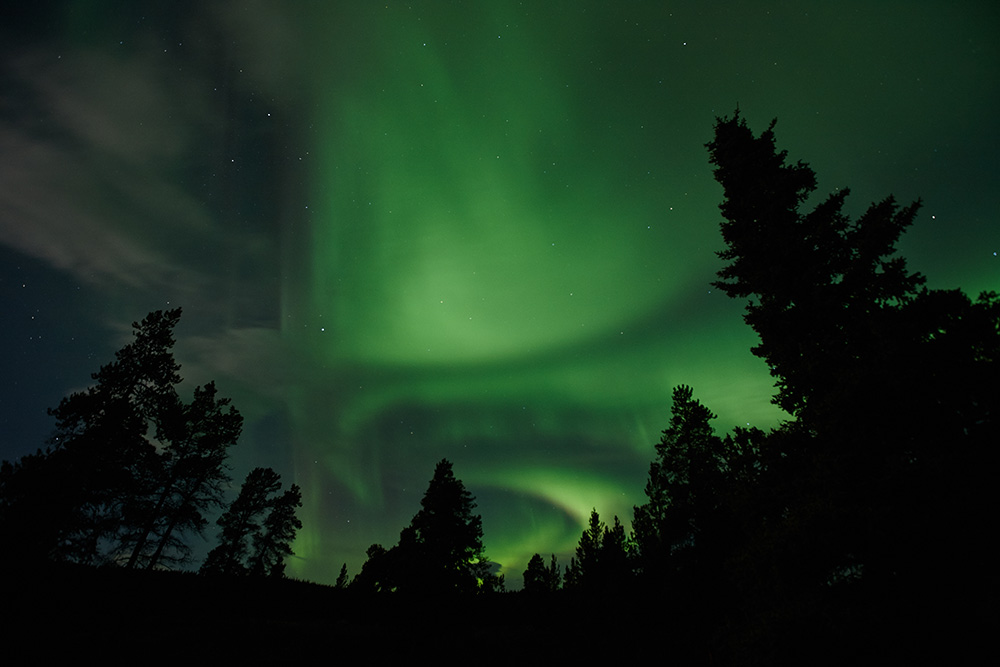 Aurora Borealis - Atlin British Columbia