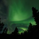 Aurora Borealis - Atlin British Columbia
