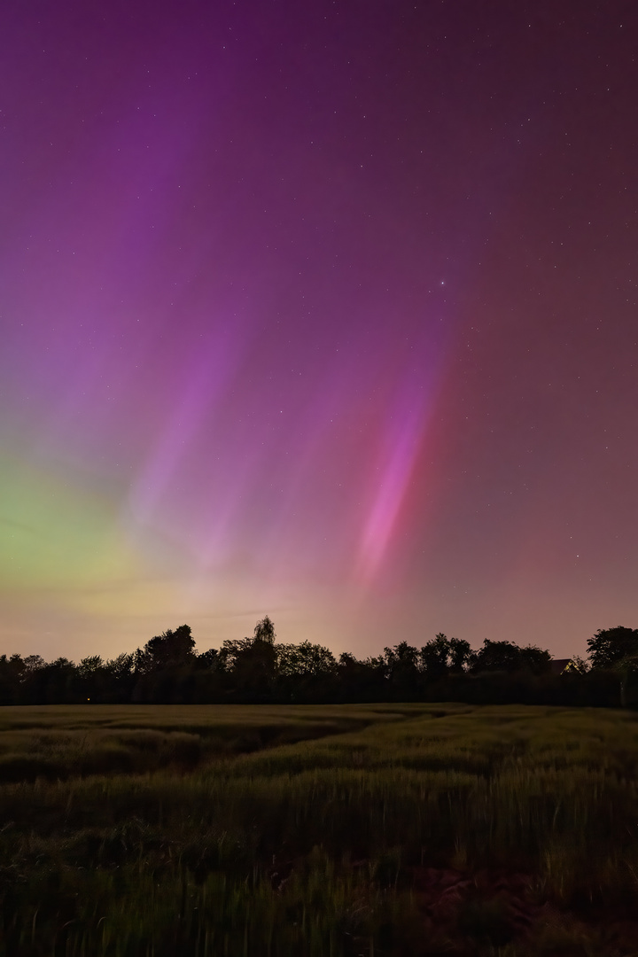 Aurora Borealis im Rheinland