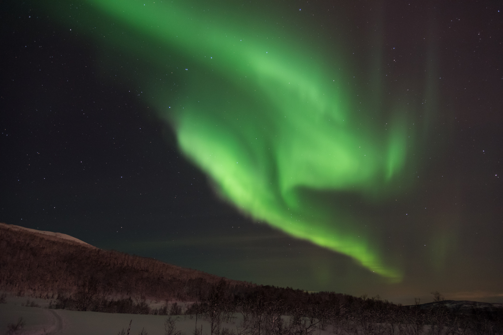 Aurora Borealis in Tromsø 2016