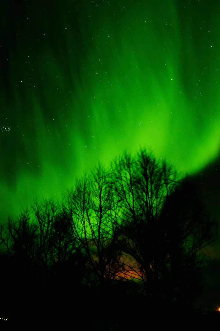 Aurora Borealis in Tromsö/Norway