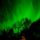 Aurora Borealis in Tromsö/Norway