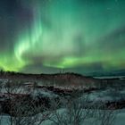 Aurora Borealis - Lappland, Abisko Nationalpark