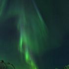 Aurora Borealis ll
