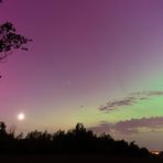 Aurora Borealis mit Mond