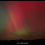 aurora borealis . Nordlicht