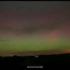 aurora borealis . Nordlicht II