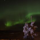 Aurora Borealis over Pikku Syöte