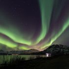 Aurora Borealis Sommarøy IX