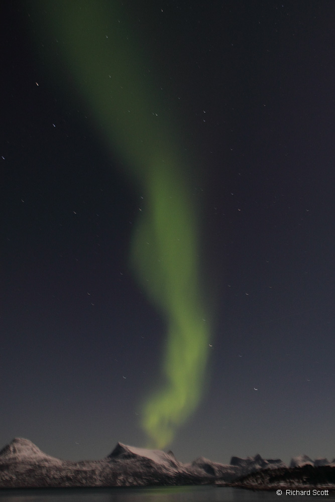 Aurora Borealis, Tysfjord, Norway. January 2012