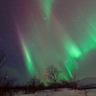 Aurora Borealis über Abisko