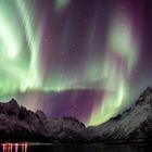 Aurora borealis über den Lofoten 2