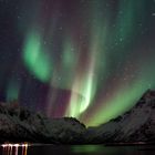 Aurora borealis über den Lofoten