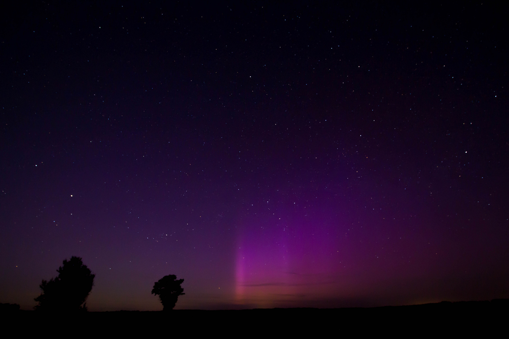 Aurora Borealis über der Börde