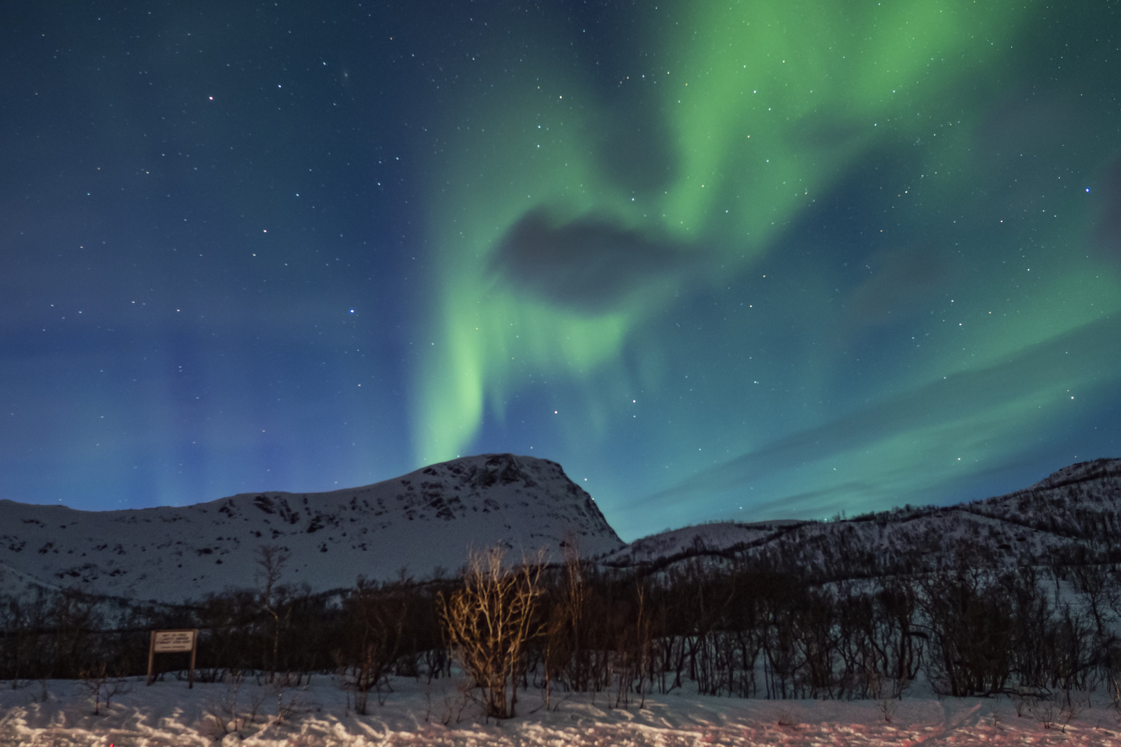 Aurora Gesicht