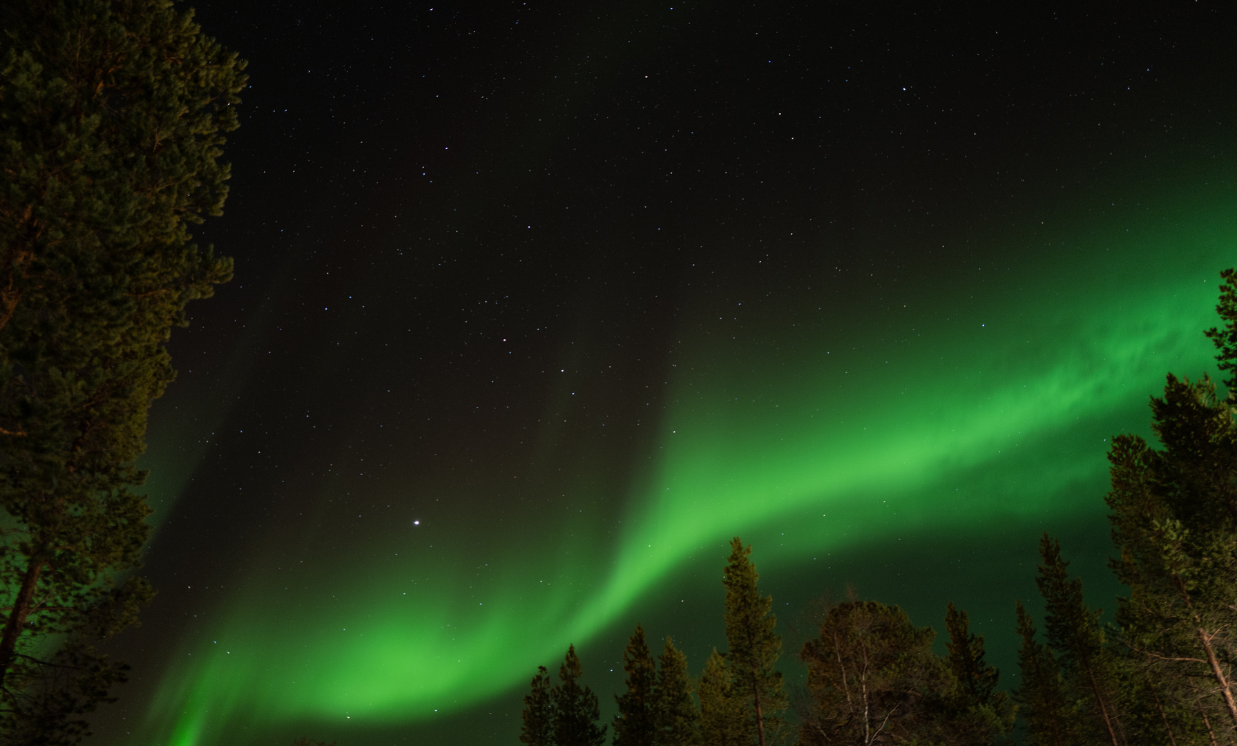 Aurora hat sich gezeigt